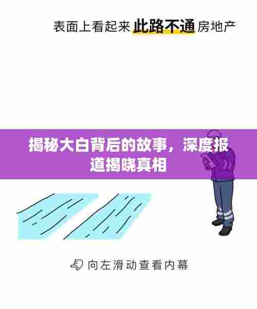 揭秘大白背后的故事,深度报道揭晓真相