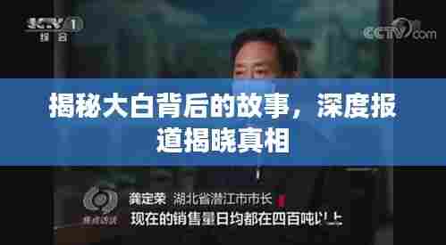 揭秘大白背后的故事,深度报道揭晓真相