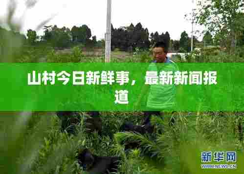 温柔敦厚 第7页