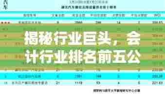 揭秘行业巨头，会计行业排名前五公司及其影响力