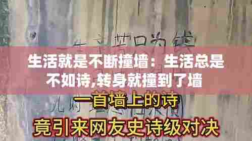 生活就是不断撞墙:生活总是不如诗,转身就撞到了墙