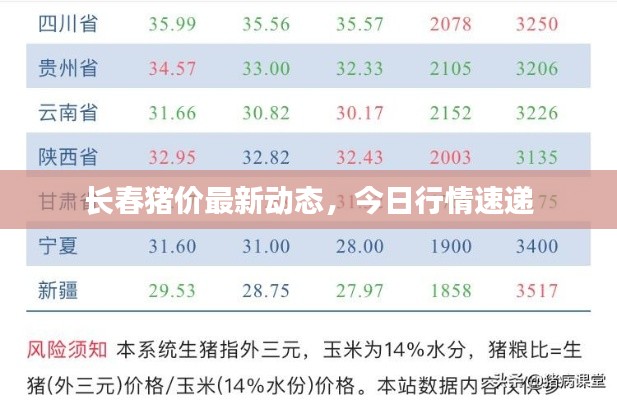 长春猪价最新动态，今日行情速递