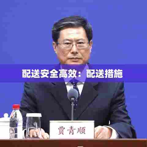 配送安全高效:配送措施