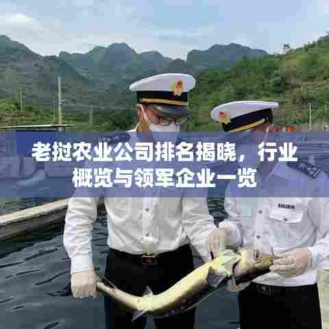 老挝农业公司排名揭晓，行业概览与领军企业一览