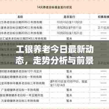 工银养老今日最新动态，走势分析与前景展望