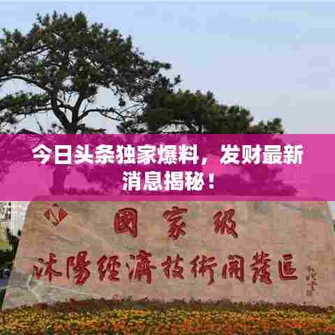今日头条独家爆料，发财最新消息揭秘！