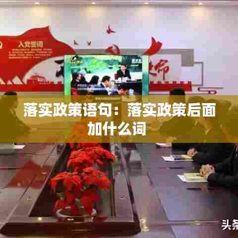 落实政策语句：落实政策后面加什么词 