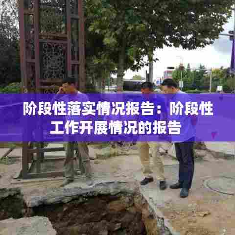 阶段性落实情况报告：阶段性工作开展情况的报告 