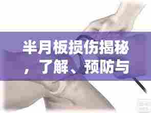 半月板损伤揭秘，了解、预防与治疗策略全解析