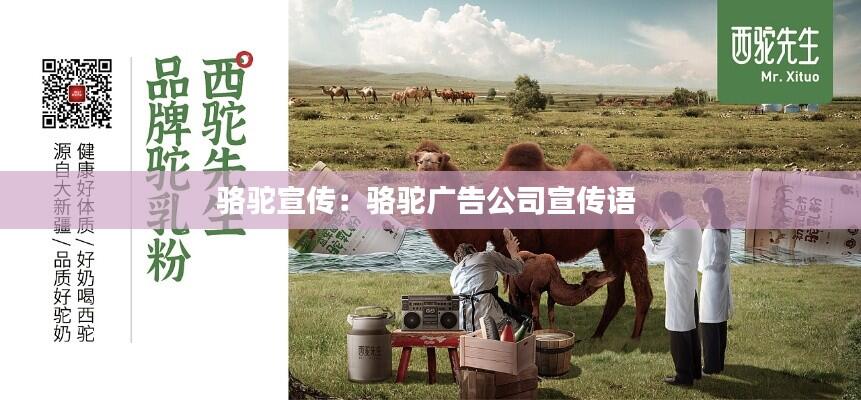 骆驼宣传:骆驼广告公司宣传语