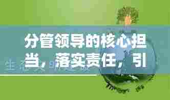 分管领导的核心担当，落实责任，引领前行！