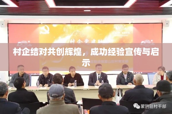 村企结对共创辉煌，成功经验宣传与启示