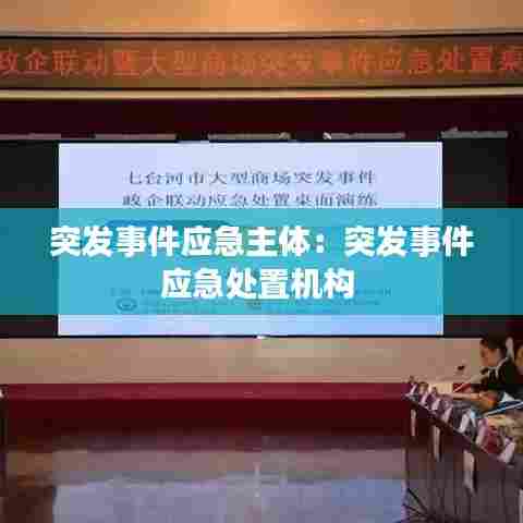 突发事件应急主体:突发事件应急处置机构