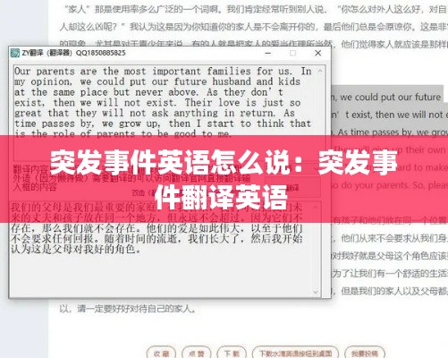 突发事件英语怎么说:突发事件翻译英语