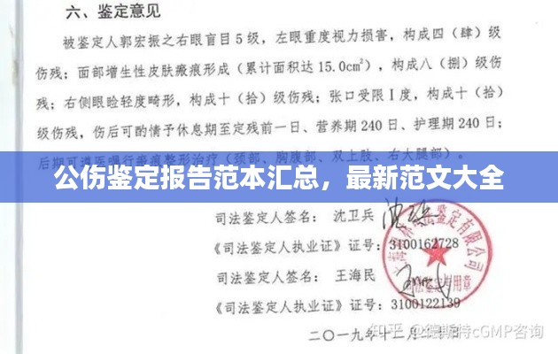 公伤鉴定报告范本汇总,最新范文大全