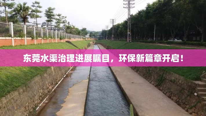 东莞水渠治理进展瞩目，环保新篇章开启！