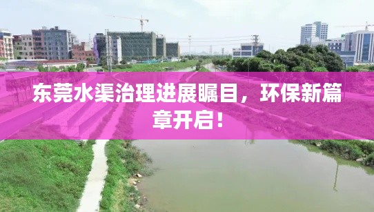 东莞水渠治理进展瞩目,环保新篇章开启!