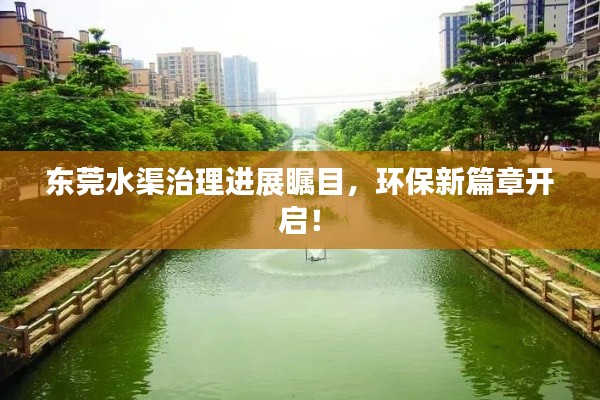 东莞水渠治理进展瞩目,环保新篇章开启!