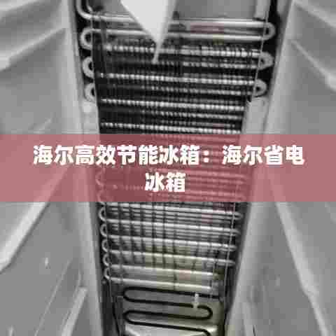 海尔高效节能冰箱：海尔省电冰箱 