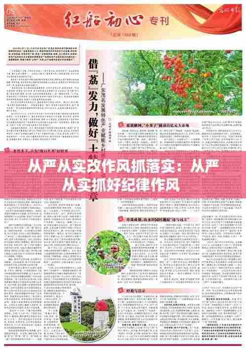 从严从实改作风抓落实：从严从实抓好纪律作风 