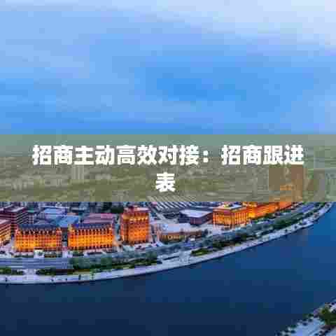 招商主动高效对接：招商跟进表 