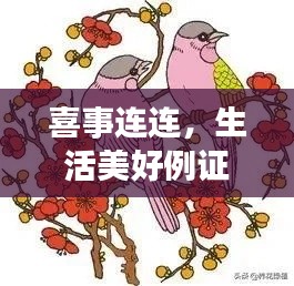 喜事连连，生活美好例证大揭秘