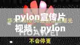 pylon宣传片视频：pylon tech 