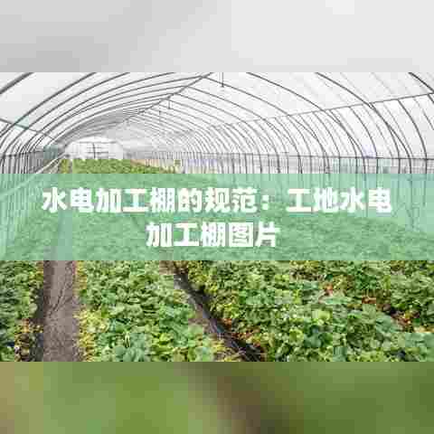 水电加工棚的规范：工地水电加工棚图片 