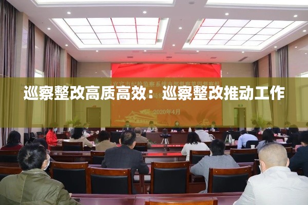 巡察整改高质高效：巡察整改推动工作 