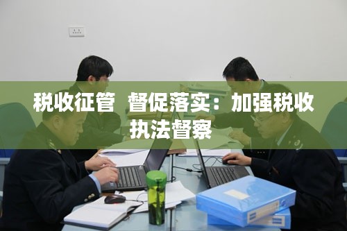 税收征管  督促落实：加强税收执法督察 