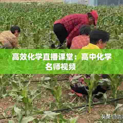 高效化学直播课堂：高中化学名师视频 