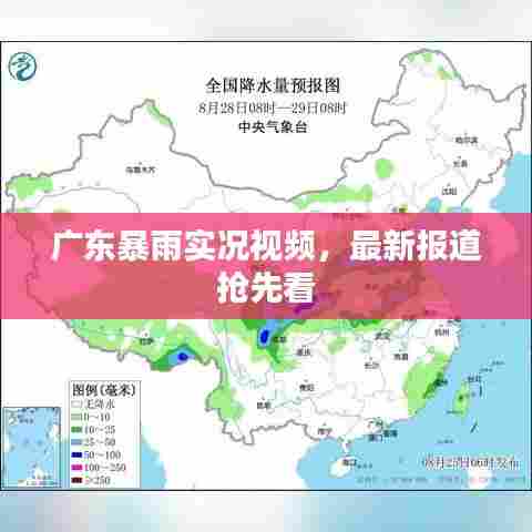 广东暴雨实况视频，最新报道抢先看
