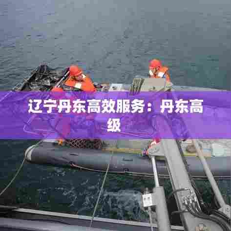 辽宁丹东高效服务:丹东高级