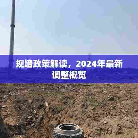 规培政策解读，2024年最新调整概览
