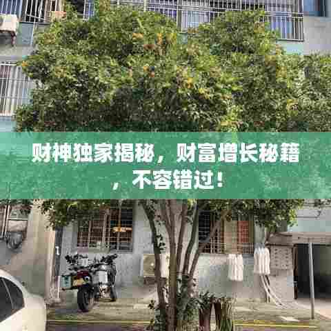 财神独家揭秘，财富增长秘籍，不容错过！
