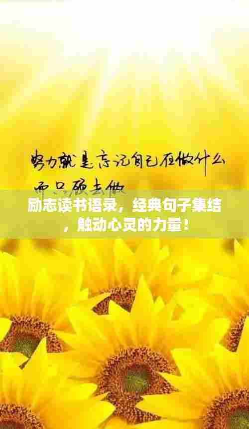 励志读书语录，经典句子集结，触动心灵的力量！