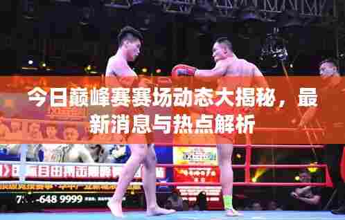 今日巅峰赛赛场动态大揭秘，最新消息与热点解析