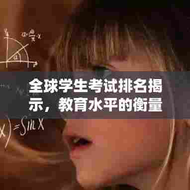 栖冲业简 第6页