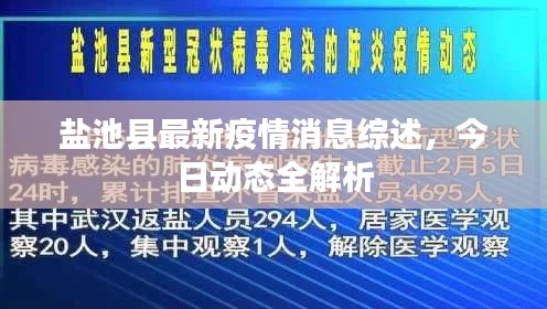 盐池县最新疫情消息综述，今日动态全解析
