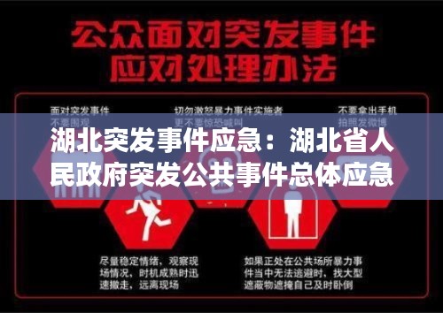 湖北突发事件应急：湖北省人民政府突发公共事件总体应急预案 