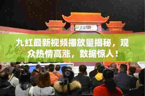 客户反馈 第252页