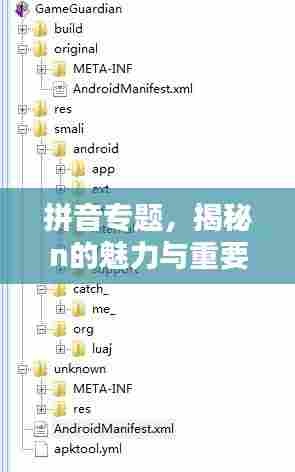 拼音专题,揭秘n的魅力与重要性