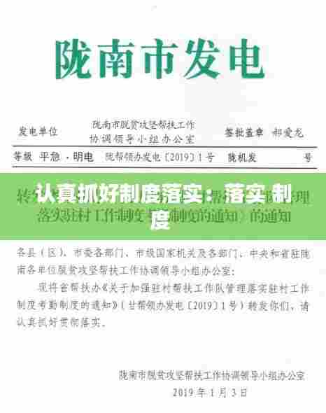 认真抓好制度落实：落实 制度 