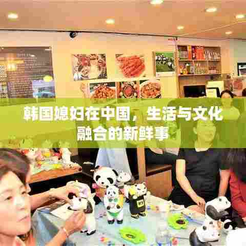 韩国媳妇在中国，生活与文化融合的新鲜事