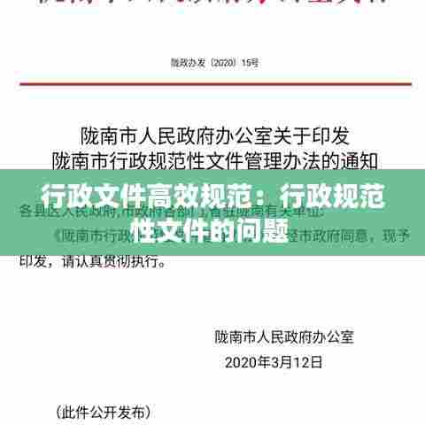 行政文件高效规范：行政规范性文件的问题 