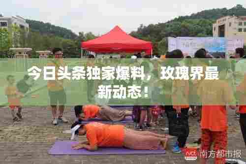 今日头条独家爆料，玫瑰界最新动态！