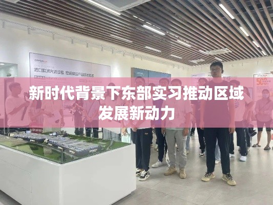 新时代背景下东部实习推动区域发展新动力
