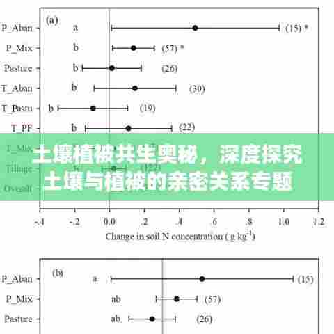 土壤植被共生奥秘，深度探究土壤与植被的亲密关系专题