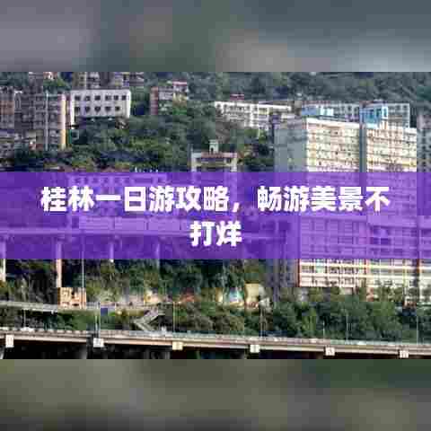 桂林一日游攻略，畅游美景不打烊