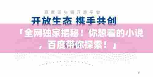 「全网独家揭秘！你想看的小说，百度带你探索！」